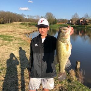 Meet your Posher, Jake